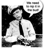 "Nip it, right now...why, you let some old lady drive around town without a seat belt, and she'll soon be back with an even bigger crime...like contempt of court!"  (Wise words from Barney Fife and Google Images)